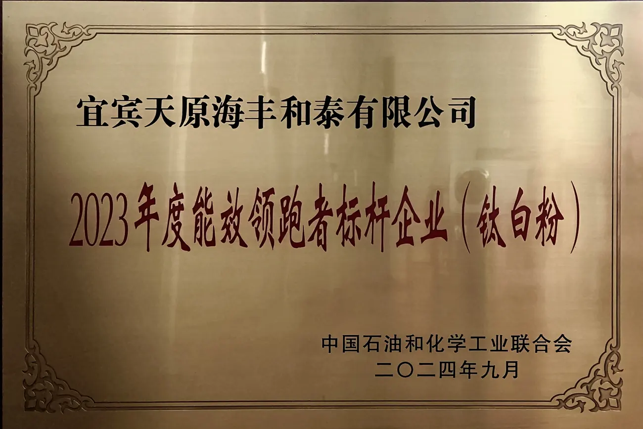 50-2023年度能效领跑者标杆企业（钛白粉）-2024年9月